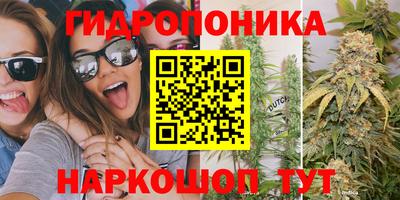 мдпв Пушкино